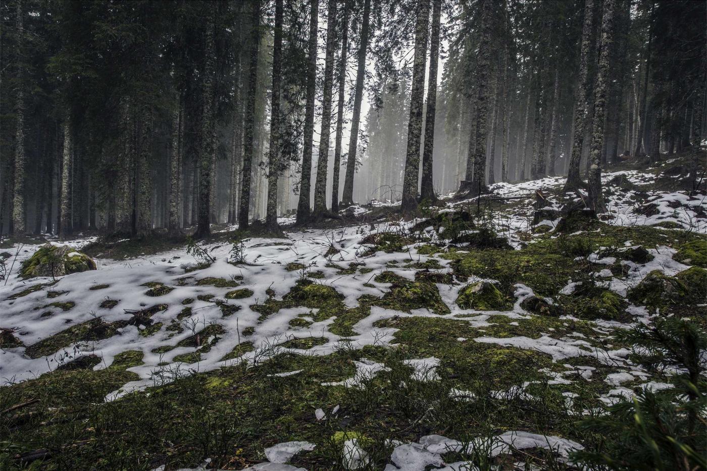 slow living: 3 things nobody tells you about slow living