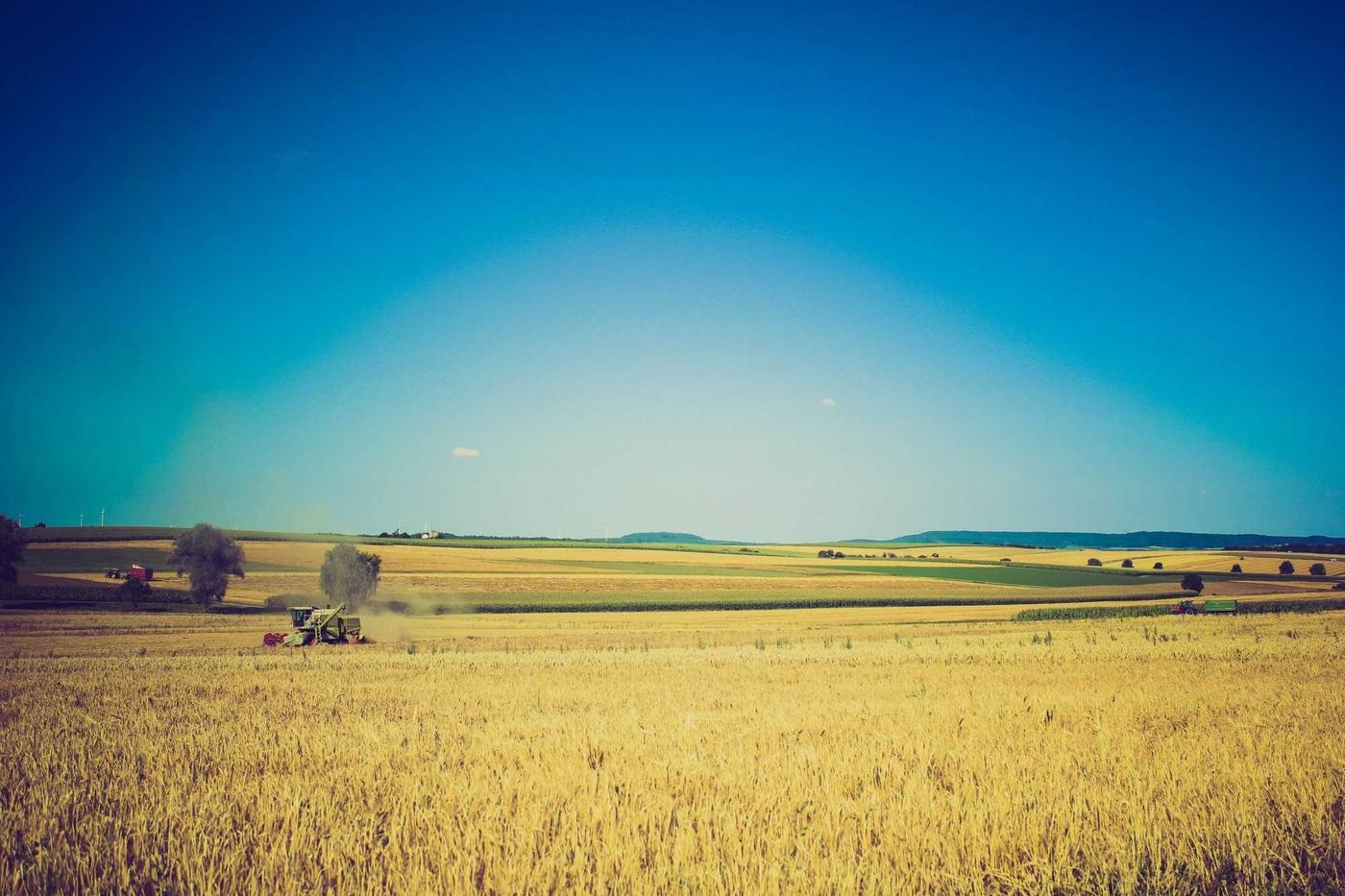 slow living: 6 small changes that improve slow living