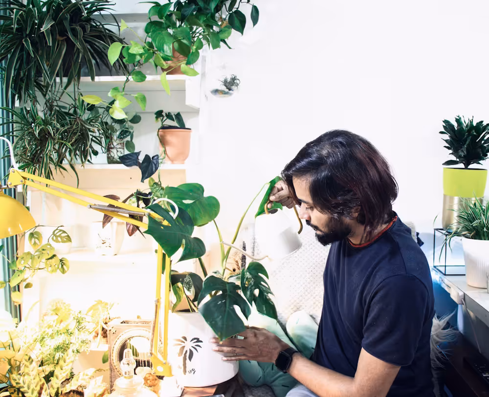 Living Sustainably Begins with Small Everyday Choices