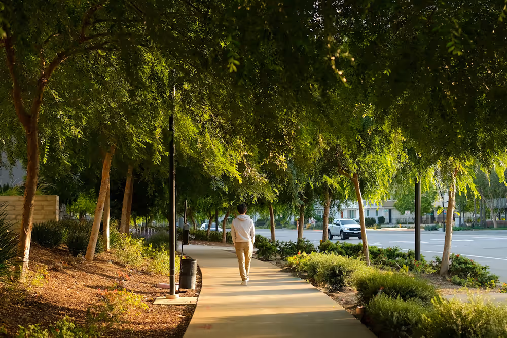 Why Walking Is One of Life's Greatest Simple Pleasures