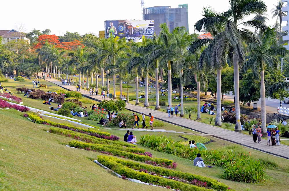 Why Every City Needs More Green Spaces