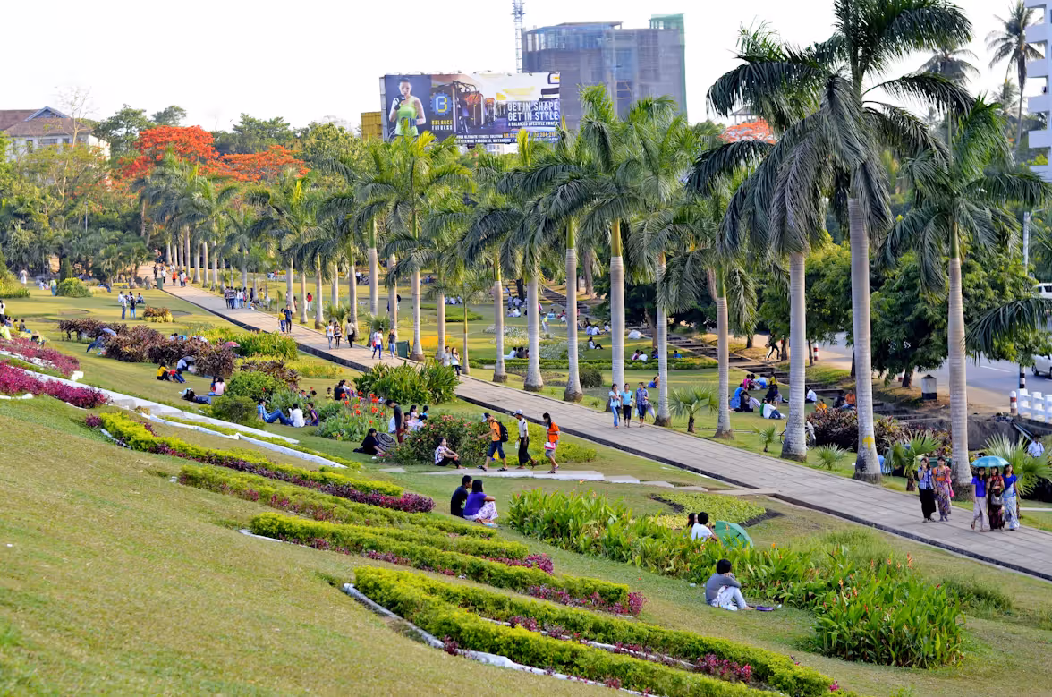 Why Every City Needs More Green Spaces